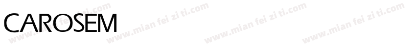 CAROSE Medium字体转换